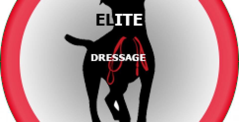 elite-dressage-logo5_03