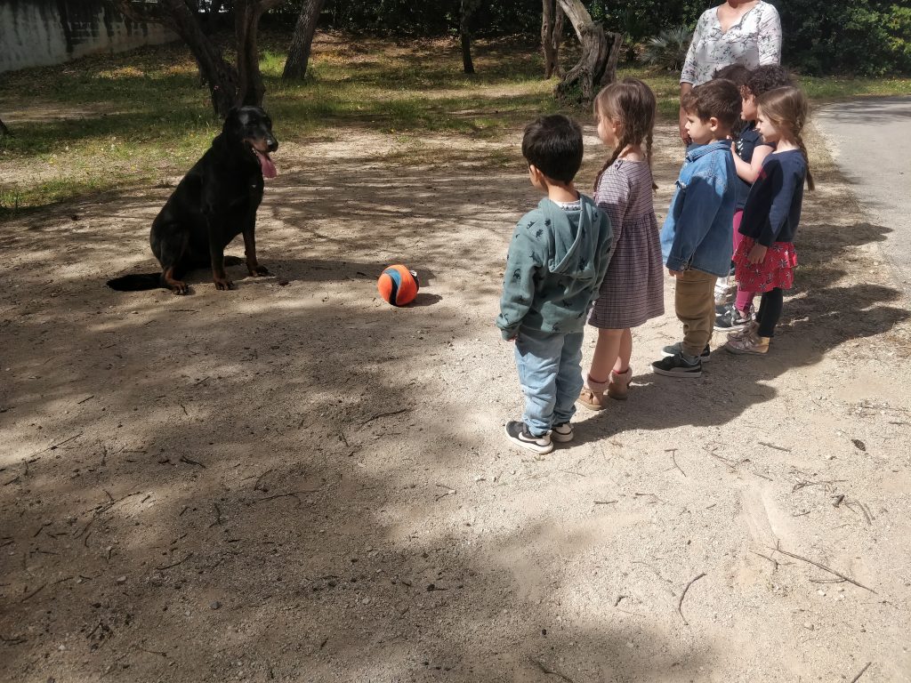 Apprendre aux enfants jouer avec un chien - Var - Toulon -Murphy Elite Dressage