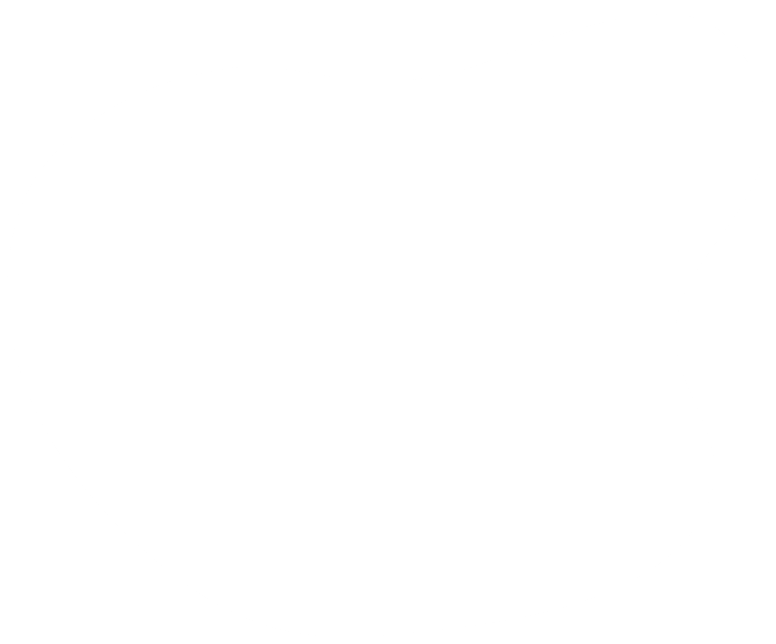 Les chiens de travail d Elite Dressage